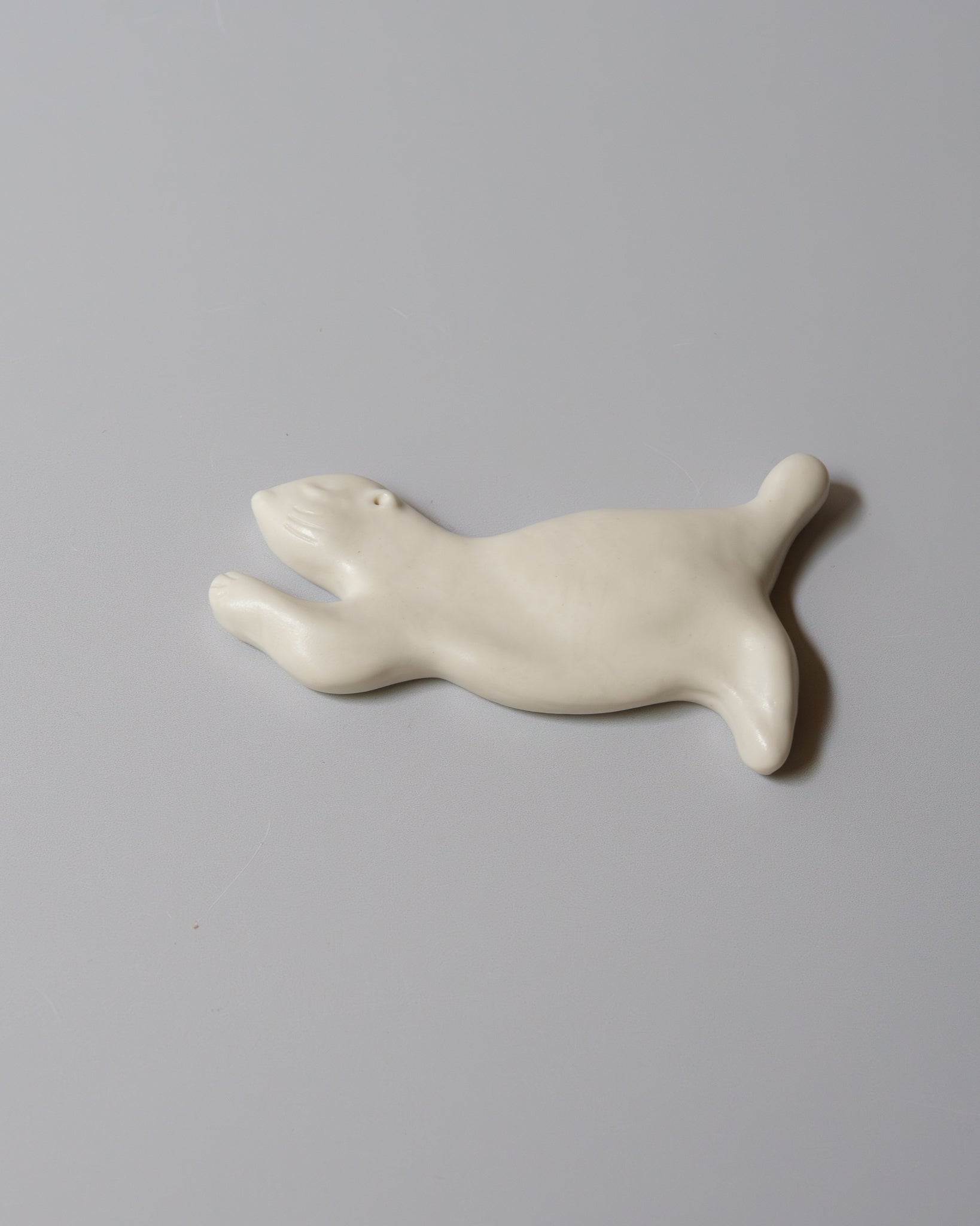 Healing Otter
