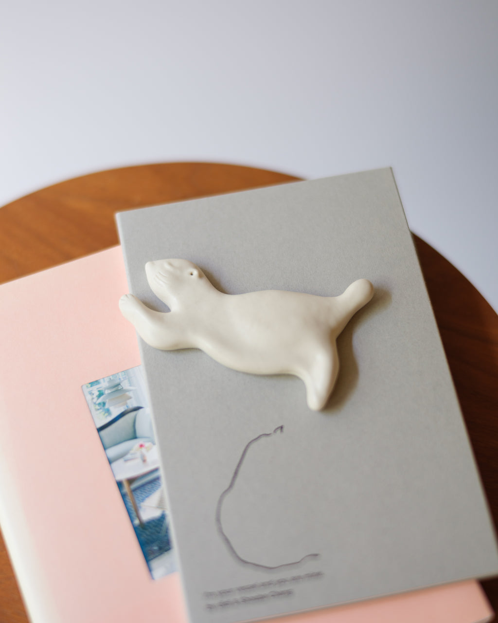 Healing Otter